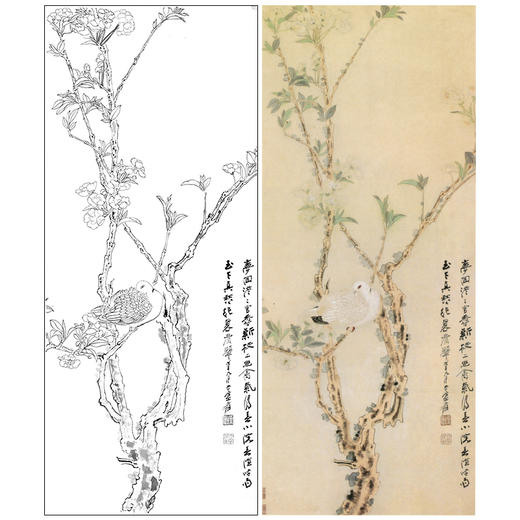 张大千竖幅工笔花鸟白描底稿-《幽禽图》-多种白描尺寸可选-QD38 商品图0