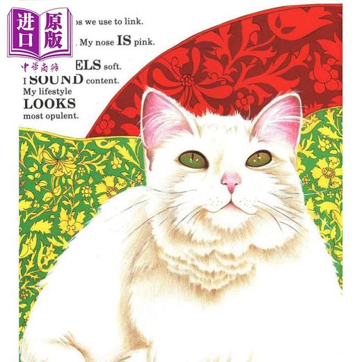 【中商原版】Kites Sail High Book About Verbs 露丝海勒 Ruth Heller 风筝高飞 一本关于动词的书 英文原版 儿童语言绘本 商品图3