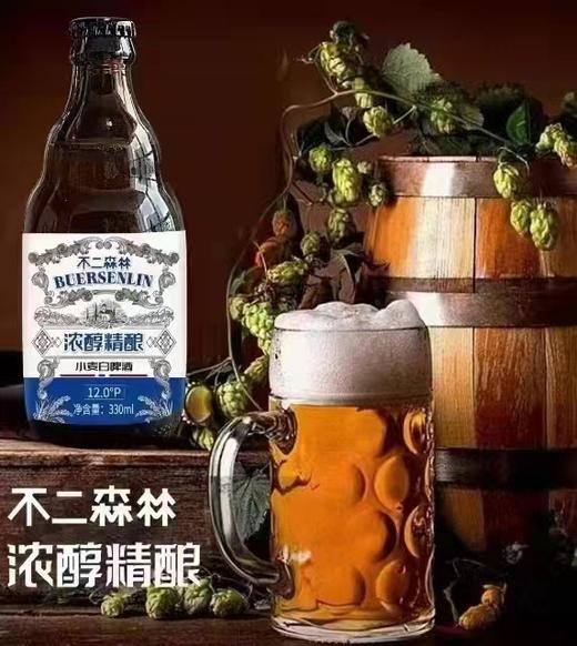 不二森林啤酒5瓶（拼团) 商品图2