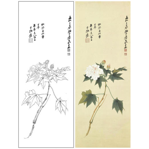 张大千-竖幅工笔花鸟白描底稿-QD26 商品图0