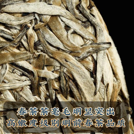 2022春茶《大白芽》白毫银针单芽白茶饼一口料357g/饼 商品图2