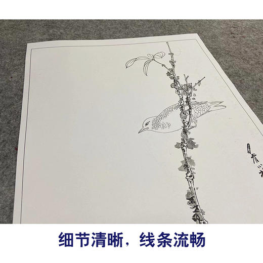 张大千竖幅工笔花鸟白描底稿-红叶-QD31 商品图4