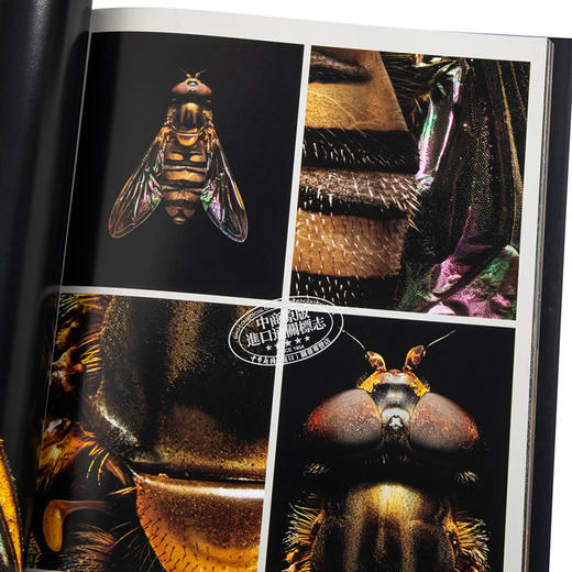 【中商原版】Microsculpture:Portraits of Insects 英文原版 微雕：昆虫的肖像 商品图3