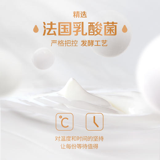圣牧有机风味酸牛奶200g/盒*10 商品图3