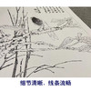张大千竖幅工笔花鸟白描底稿-《霜叶归禽》-多种白描尺寸可选-QD33 商品缩略图4