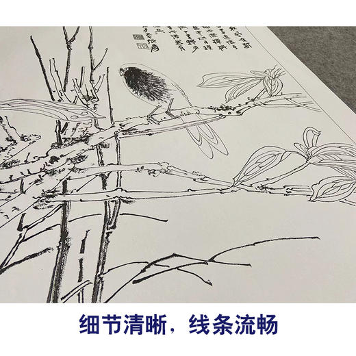 张大千竖幅工笔花鸟白描底稿-《霜叶归禽》-多种白描尺寸可选-QD33 商品图4