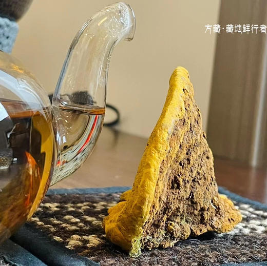 野生桑树桑黄｜纯野生 来自西藏墨脱 （切块备注） 商品图1