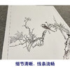张大千竖幅工笔花鸟白描底稿-《海棠双鹊》-多种白描尺寸可选-QD36 商品缩略图4