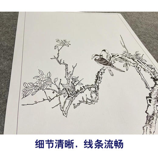 张大千竖幅工笔花鸟白描底稿-《海棠双鹊》-多种白描尺寸可选-QD36 商品图4