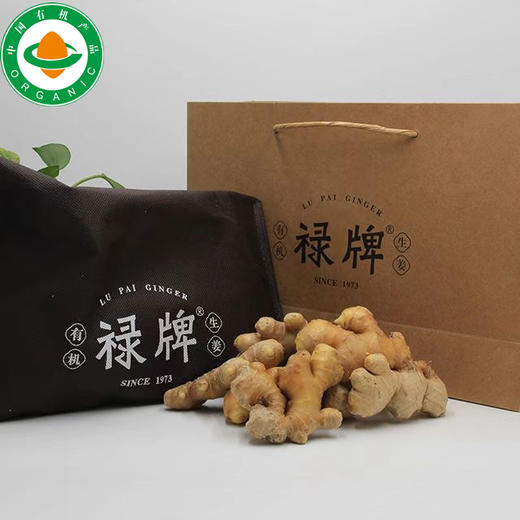 【产地直发包邮】禄牌—有机小黄姜（鲜） 商品图0