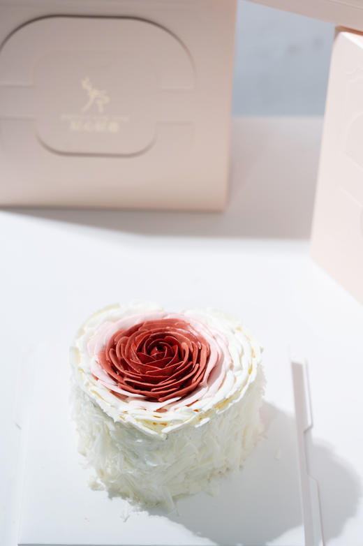 洛神玫瑰 商品图4