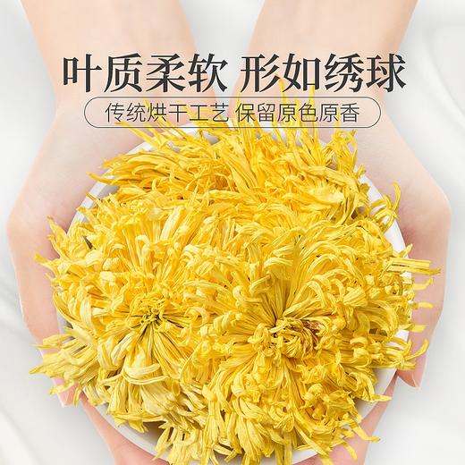 庄民 金丝皇菊 大朵 黄菊花 茶叶花草茶 一朵一杯（23-26朵）12g/罐 商品图2