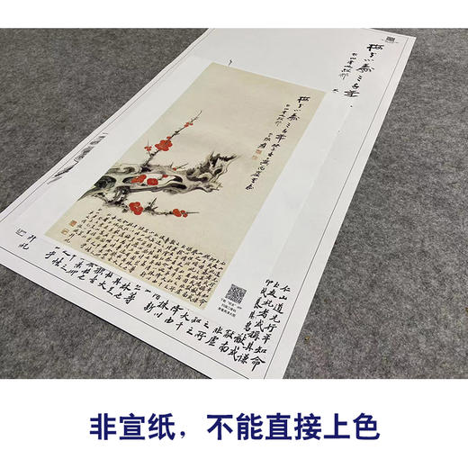 张大千竖幅工笔花鸟白描底稿-《红梅小寿》-多种白描尺寸可选-QD35 商品图2