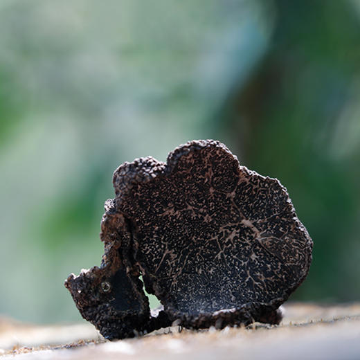 北纬纯净食品|38°黑松露羊肚菌礼盒 高端送礼礼盒 商品图2