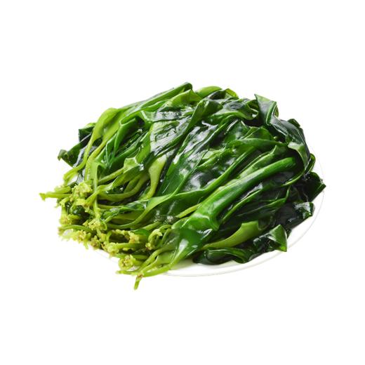 霞浦海带苗 商品图0