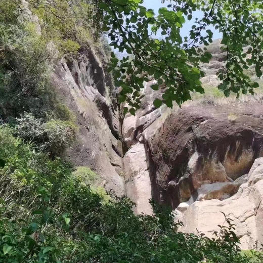 碧石岩水仙 商品图3