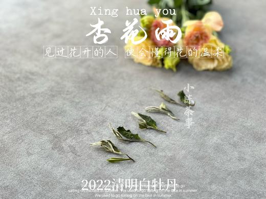 茶友们喜欢的2022清明白牡丹来了，柔美甜馥，清香清长，回甘香浓（90克） 商品图2