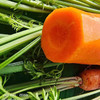 海南澄迈有机胡萝卜|坚持人工除草 富含维生素 新鲜采摘 商品缩略图2