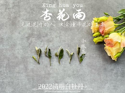 茶友们喜欢的2022清明白牡丹来了，柔美甜馥，清香清长，回甘香浓（90克） 商品图1