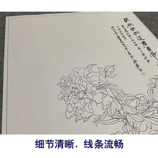 张大千竖幅工笔花鸟白描底稿-《照殿红》-多种白描尺寸可选-QD27 商品图4