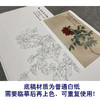 张大千竖幅工笔花鸟白描底稿-《照殿红》-多种白描尺寸可选-QD27 商品缩略图3
