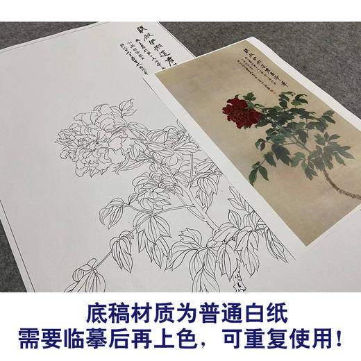 张大千竖幅工笔花鸟白描底稿-《照殿红》-多种白描尺寸可选-QD27 商品图3