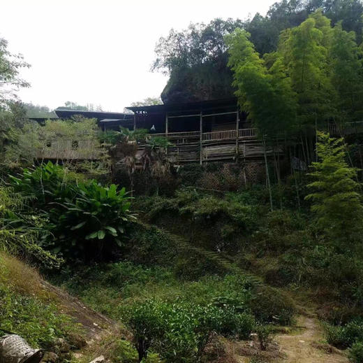 碧石岩水仙 商品图4