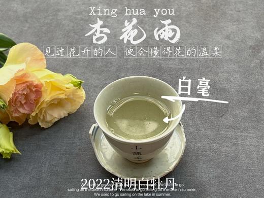 茶友们喜欢的2022清明白牡丹来了，柔美甜馥，清香清长，回甘香浓（90克） 商品图13