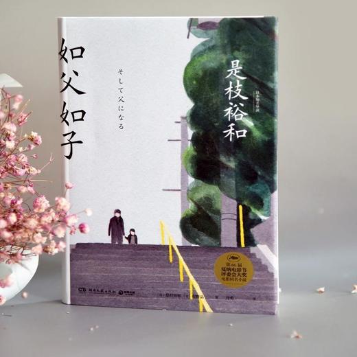 如父如子日本电影大师是枝裕和小偷家族血缘与相伴的亲情如何取舍 商品图5