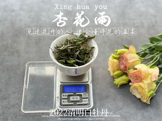 茶友们喜欢的2022清明白牡丹来了，柔美甜馥，清香清长，回甘香浓（90克） 商品图6