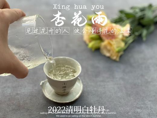 茶友们喜欢的2022清明白牡丹来了，柔美甜馥，清香清长，回甘香浓（90克） 商品图9