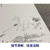 张大千竖幅工笔动物-牛-白描底稿-QD39 商品缩略图4
