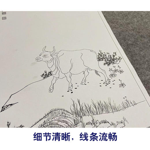 张大千竖幅工笔动物牛白描底稿qd39