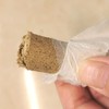 湖北优质蕲艾 艾条/艾柱54粒装 4遍打筛 商品缩略图1