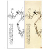 张大千竖幅工笔花鸟白描底稿-《海棠双鹊》-多种白描尺寸可选-QD36 商品缩略图0