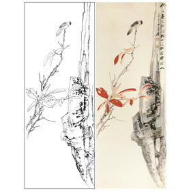 张大千竖幅工笔花鸟白描底稿-红叶小鸟-QD30