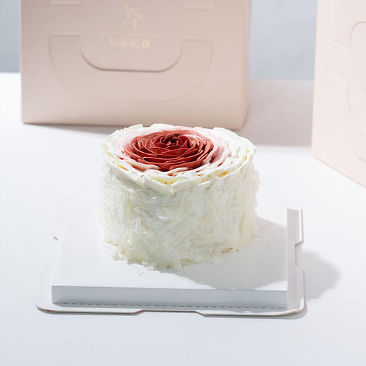 洛神玫瑰 商品图0