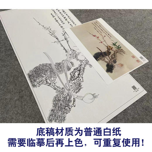 张大千竖幅工笔花鸟白描底稿-《花开纳福》-多种白描尺寸可选-QD32 商品图3