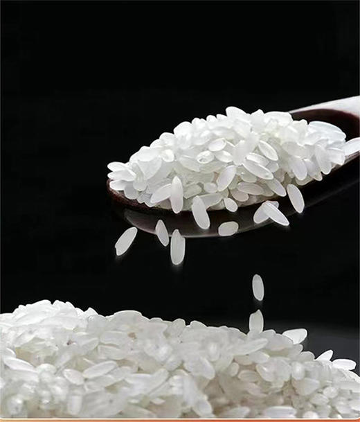 十堰丹江口 永乐武当 武当稻米5KG/袋 商品图2