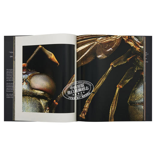 【中商原版】Microsculpture:Portraits of Insects 英文原版 微雕：昆虫的肖像 商品图5