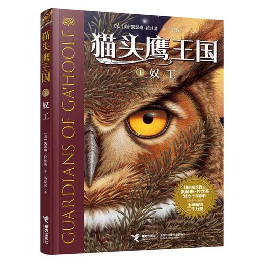 猫头鹰王国系列1奴工 凯瑟琳拉丝基经典动物奇幻小说儿童幻想自然文学冒险励志成长曹文轩沈石溪推荐 马爱农译中文书籍 商品图3