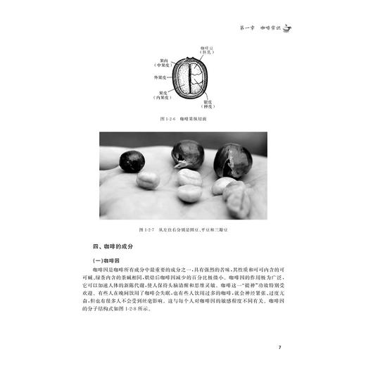 咖啡文化/浙江大学出版社/创新融合高职高专酒店管理专业新形态系列教材/张晶/唐为成 商品图2