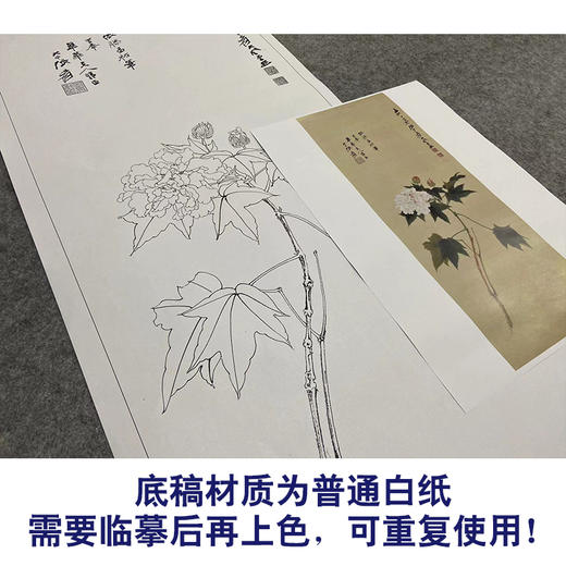 张大千-竖幅工笔花鸟白描底稿-QD26 商品图3