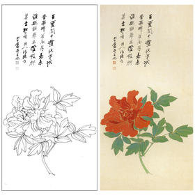 张大千竖幅工笔花鸟白描底稿-《花王图》-多种白描尺寸可选-QD28