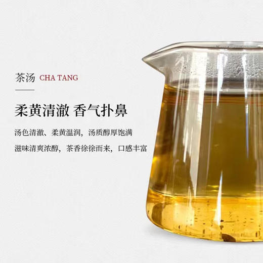 白茶丨叶舞地 2021年 白茶龙珠礼盒192g/盒 商品图4