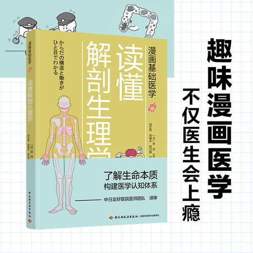 漫画基础医学：读懂解剖生理学 商品图1