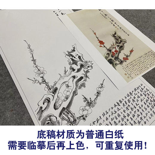 张大千竖幅工笔花鸟白描底稿-《红梅小寿》-多种白描尺寸可选-QD35 商品图3