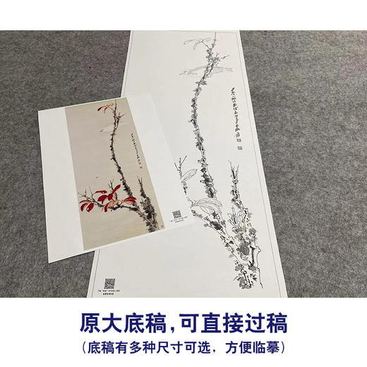 张大千竖幅工笔花鸟白描底稿-红叶-QD31 商品图1