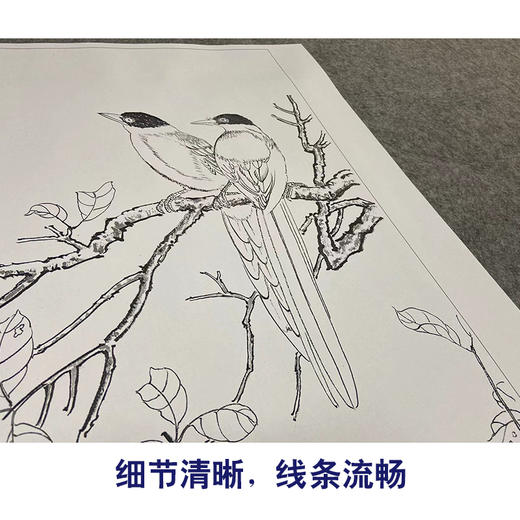 张大千竖幅工笔花鸟白描底稿-《红叶双栖》-多种白描尺寸可选-QD34 商品图4