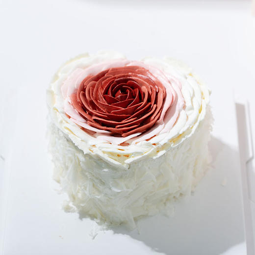 洛神玫瑰 商品图1